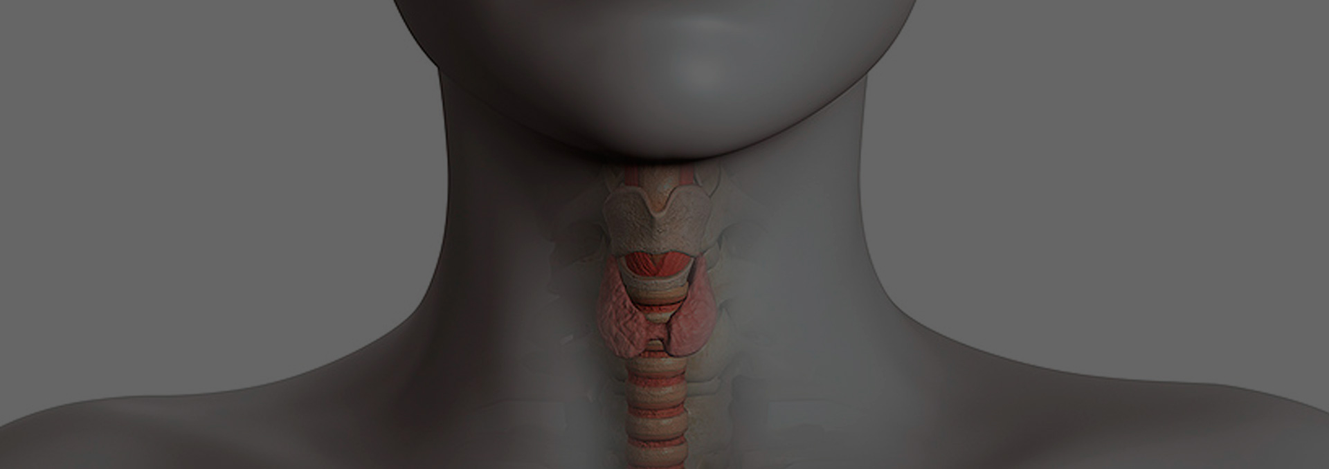 Test para cáncer de tiroides listo para la internacionalización