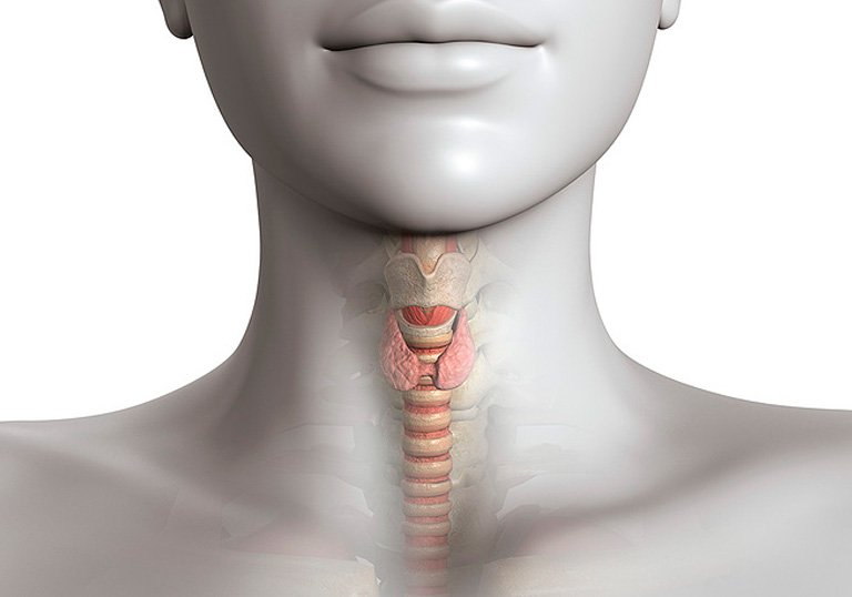 Test para cáncer de tiroides listo para la internacionalización